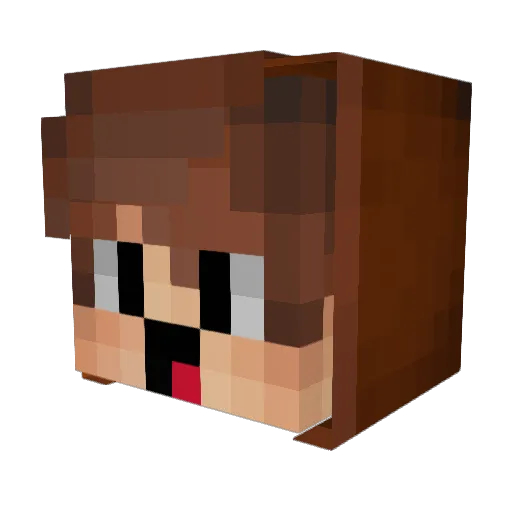 VexLeVrai Minecraft avatar head, 3D render
