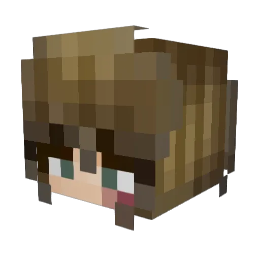 VexMe_Not Minecraft avatar head, 3D render