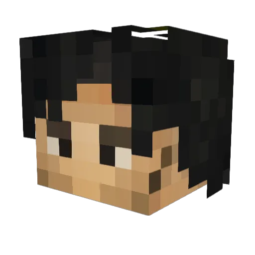 Vexatious73 Minecraft avatar head, 3D render