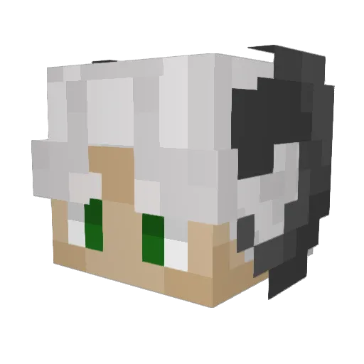 VexedMan Minecraft avatar head, 3D render