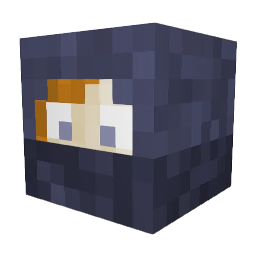 Vexillarii Minecraft avatar head, 3D render