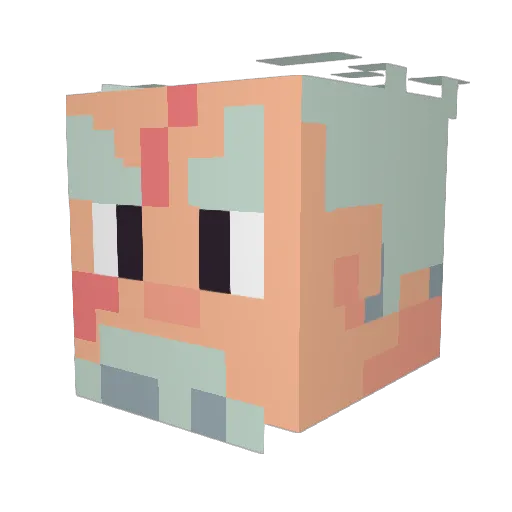 VexingAlmond8 Minecraft avatar head, 3D render