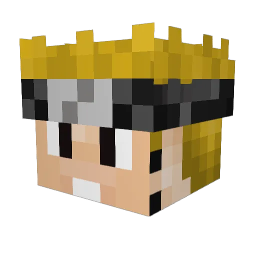 Vexizen Minecraft avatar head, 3D render