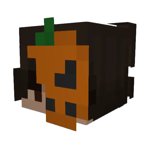 Vexloll__ Minecraft avatar head, 3D render