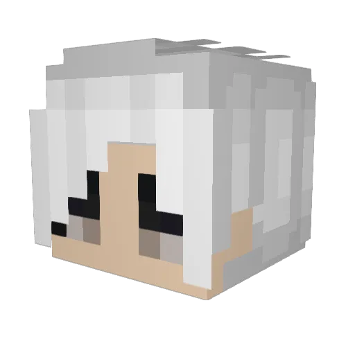 Vexor56 Minecraft avatar head, 3D render