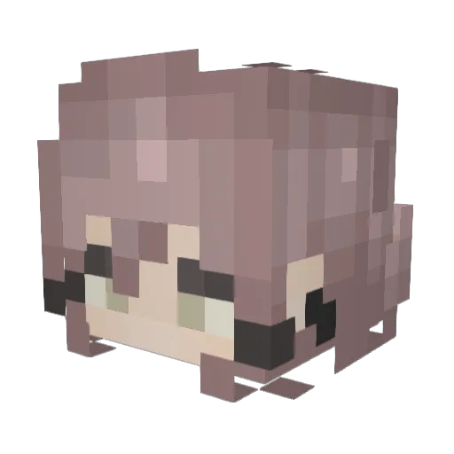 Vexpity Minecraft avatar head, 3D render