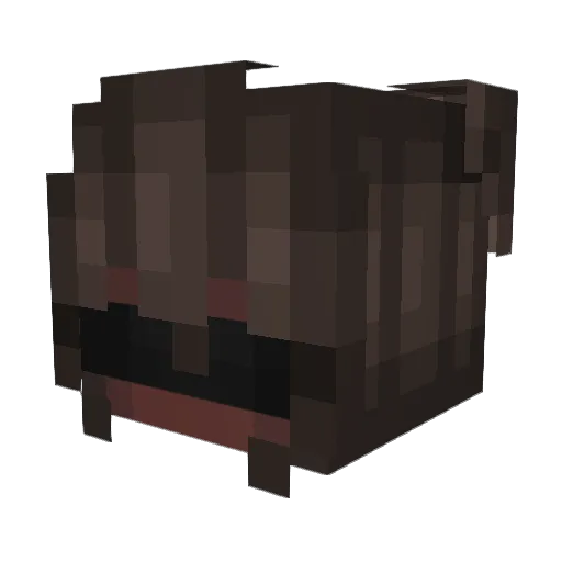 Vexr_24 Minecraft avatar head, 3D render