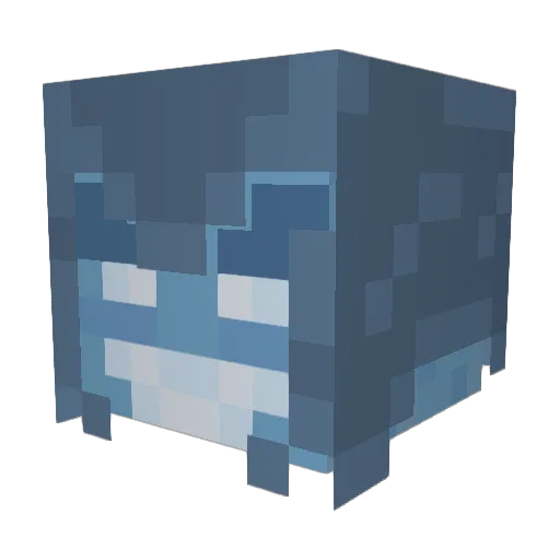 Vextek_0 Minecraft avatar head, 3D render