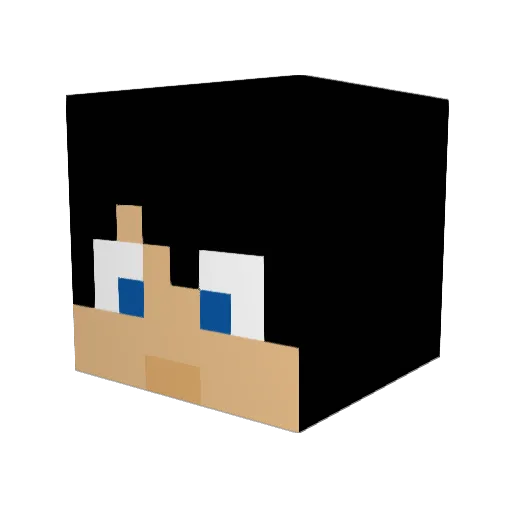 Vexttrix974 Minecraft avatar head, 3D render