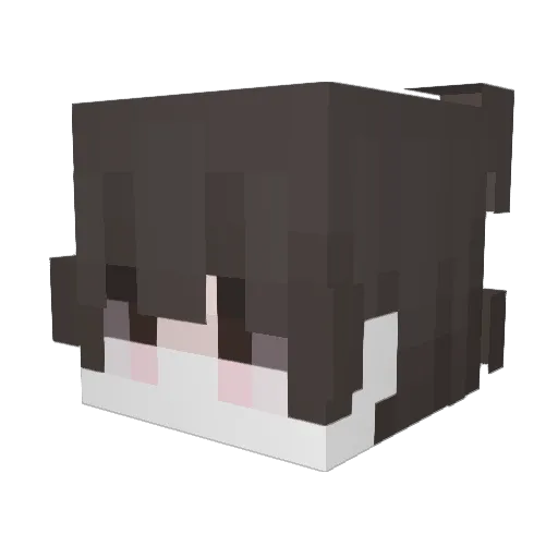 Vexx1201 Minecraft avatar head, 3D render