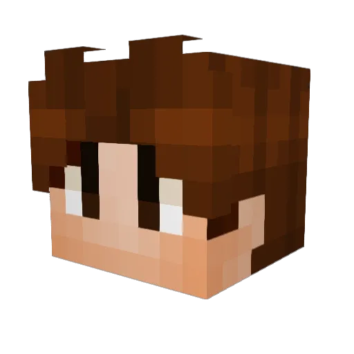 Vexxifi Minecraft avatar head, 3D render