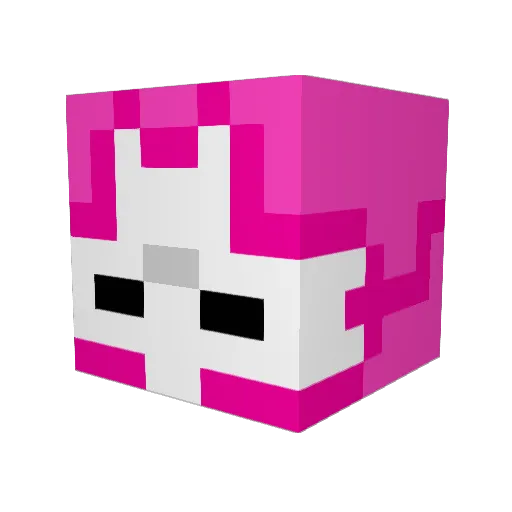 Vexxxyy Minecraft avatar head, 3D render