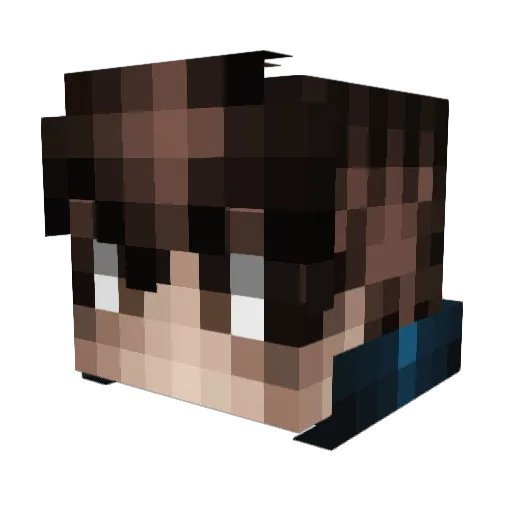 Vexxy__ Minecraft avatar head, 3D render