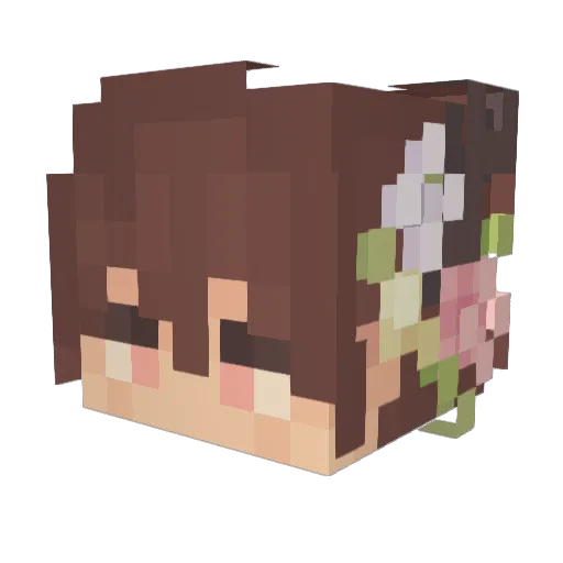 Vexywoo Minecraft avatar head, 3D render