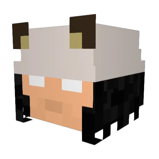 Veylanir Minecraft avatar head, 3D render