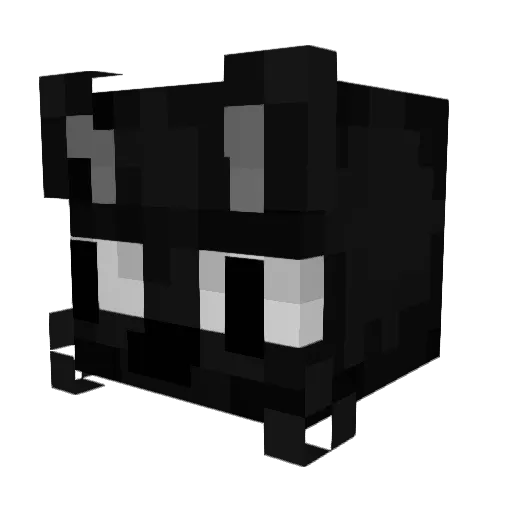Veyro_Pl Minecraft avatar head, 3D render