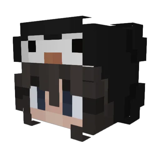 Veyyna1006 Minecraft avatar head, 3D render