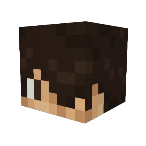 Vezir170 Minecraft avatar head, 3D render