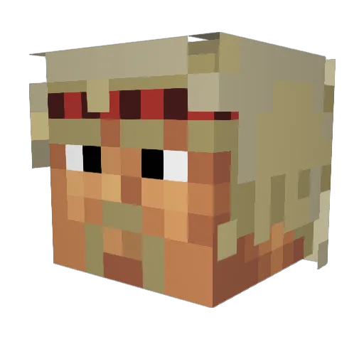 VforViennetta Minecraft avatar head, 3D render