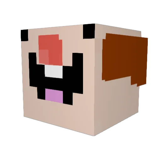 Vgalactik Minecraft avatar head, 3D render