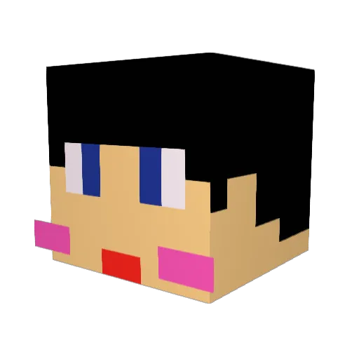 Vgill Minecraft avatar head, 3D render