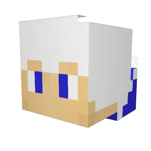VhinyBR Minecraft avatar head, 3D render