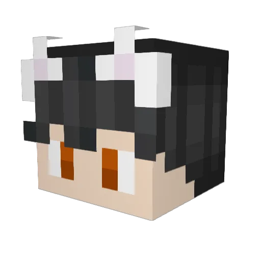 Vhrisuh1 Minecraft avatar head, 3D render