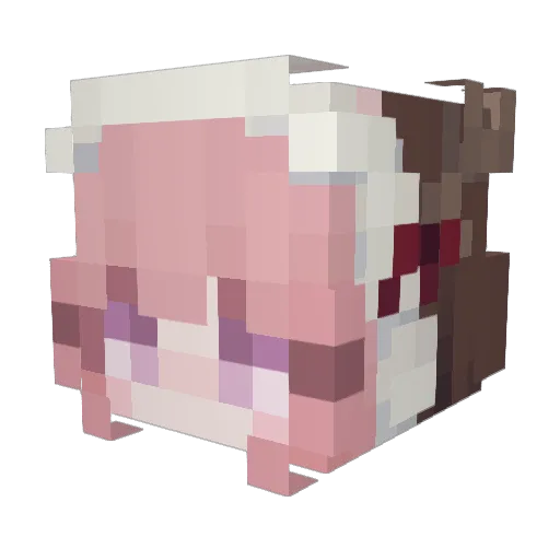 Vi0let_crazy Minecraft avatar head, 3D render