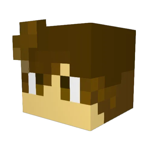 Vi11ads Minecraft avatar head, 3D render