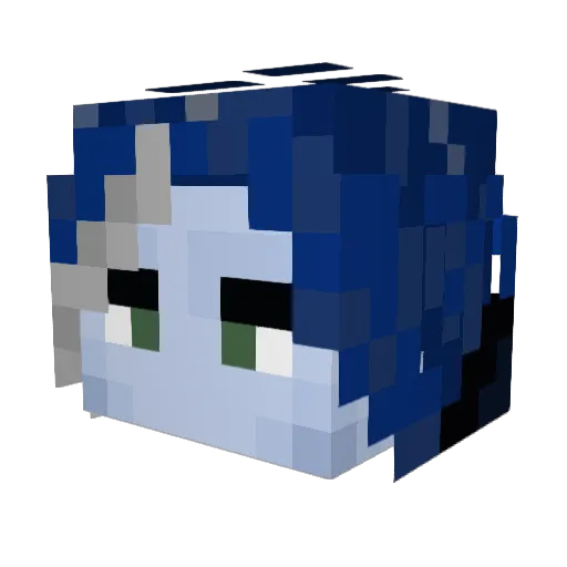 Vi4_pelih Minecraft avatar head, 3D render
