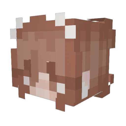 Vi871 Minecraft avatar head, 3D render