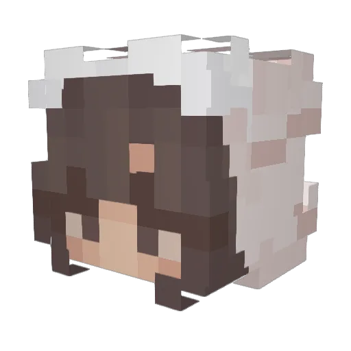 ViDazz Minecraft avatar head, 3D render