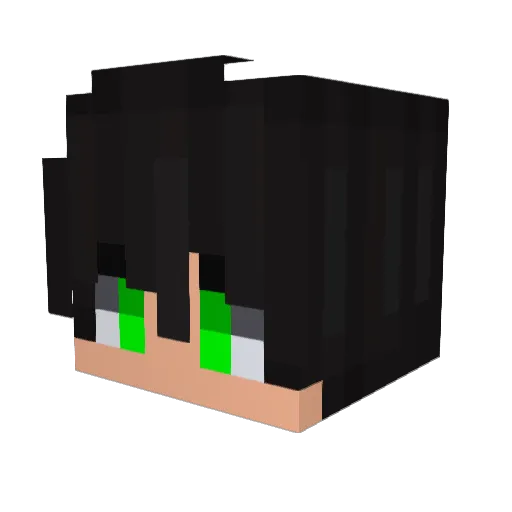 ViInooSS Minecraft avatar head, 3D render