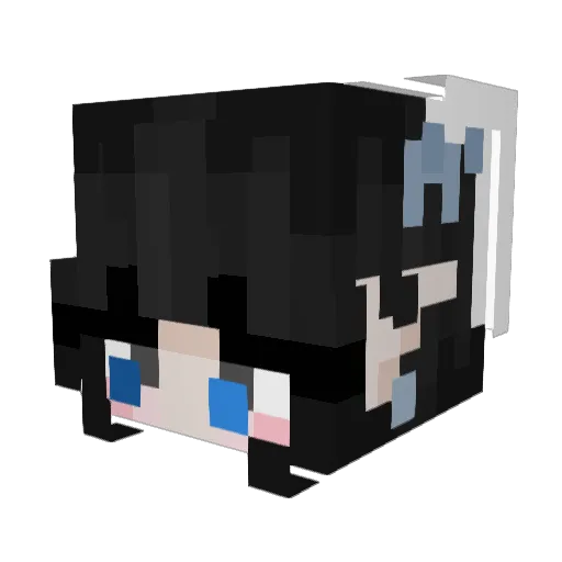 ViLo08 Minecraft avatar head, 3D render