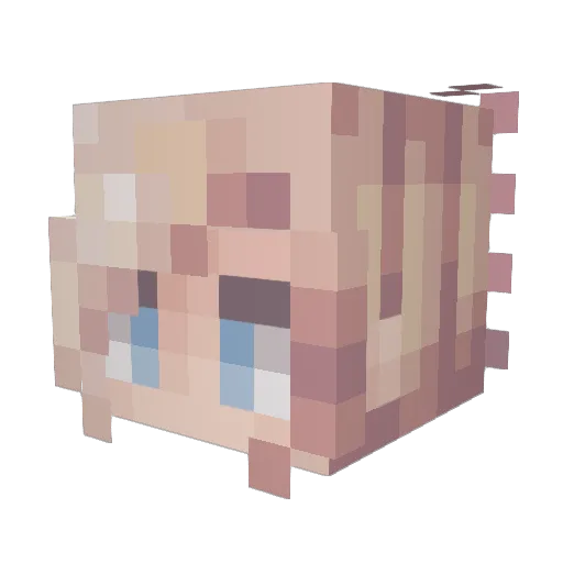 ViQ33n Minecraft avatar head, 3D render