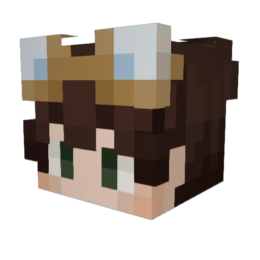 ViRuS_Mask96 Minecraft avatar head, 3D render