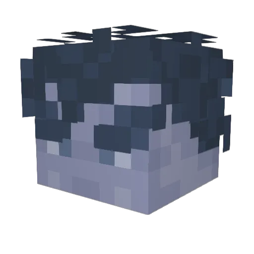 ViXiB Minecraft avatar head, 3D render