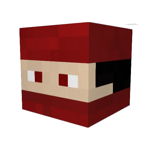 Vi_rosas777 Minecraft avatar head, 3D render