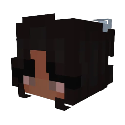 Viah_ Minecraft avatar head, 3D render