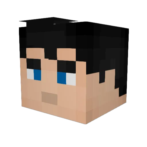 Vianist Minecraft avatar head, 3D render