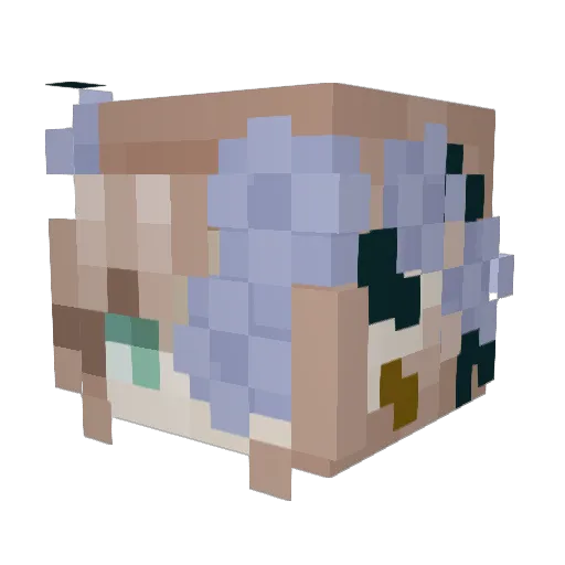 Vianru Minecraft avatar head, 3D render
