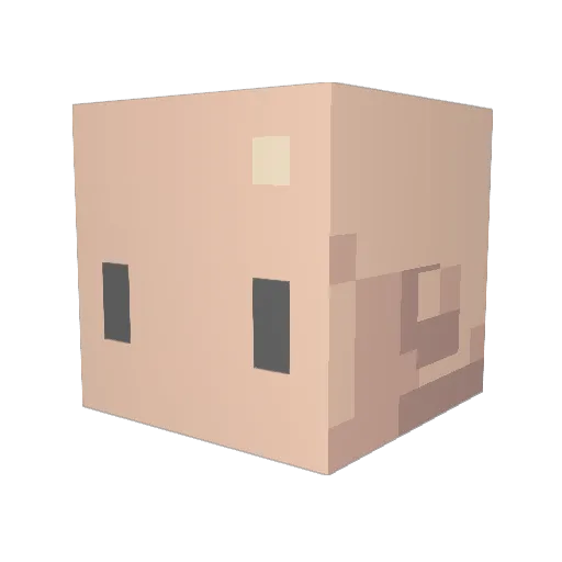 Vianut Minecraft avatar head, 3D render