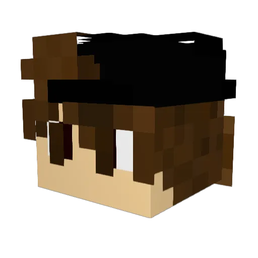 Viaron0513 Minecraft avatar head, 3D render