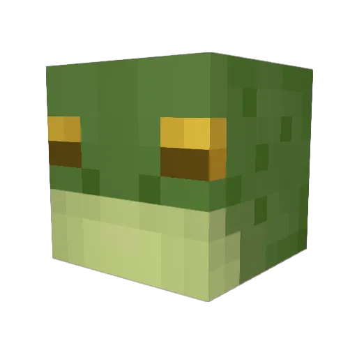 VibeToad Minecraft avatar head, 3D render