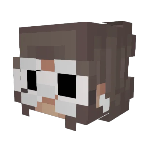 VibeYM Minecraft avatar head, 3D render