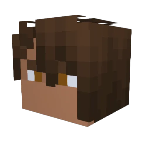 Vibe_Soda Minecraft avatar head, 3D render