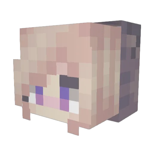 VibesRxse Minecraft avatar head, 3D render