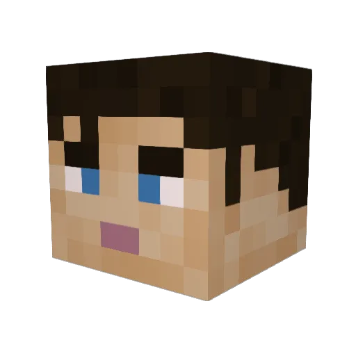 Vibeyy_ Minecraft avatar head, 3D render