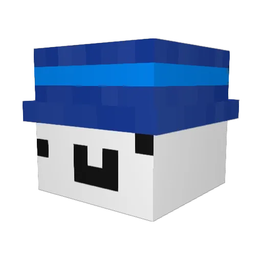 VibeyzZ1 Minecraft avatar head, 3D render