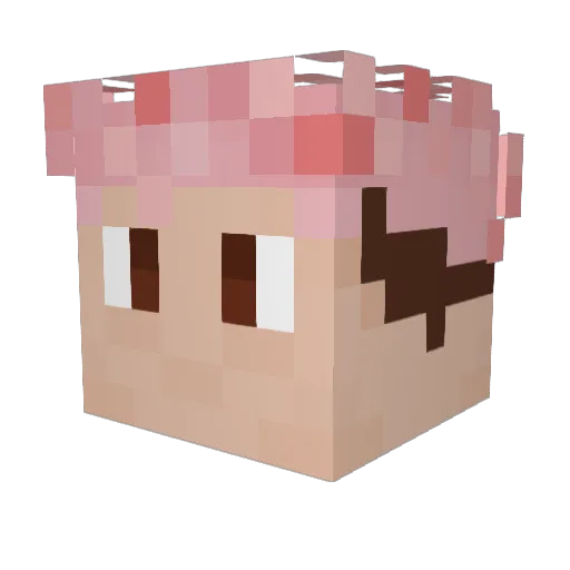 Vibez19 Minecraft avatar head, 3D render